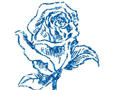Belle rose brillante bleue noire blanc;Pourquoi Pas ? Original  et   jolie ;  ça scintille ; rose brille  de ts ses feux ! et fait Rêver !  fait partir notre imagination  dans  la  beauté  de la natur