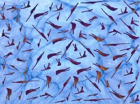 Image un peu originale,mais joli ensemble:hirondelles,sous fond bleu plusieur tons; sympa  ça pourrait faire  un tableau ou donner lieu à Ecriture d'une Poésie. Je vs envoie Amités et BONNE SOIRE