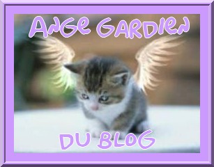 Ce chat superbe: EST L'ANGE GARDIEN  DU BLOG ! avc ses belles ailes d'anges couleur crème clair, le ptit chat gris blanc noir, regardant pensif ; et beaux yeux ; j'aime beaucoup les cha