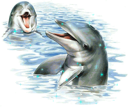 Image magnifique:2 Beaux Dauphins blancs gris et l'on voit la mer: idée d'eau; de se baigner et de regarder  de beaux dauphins: animal que j'aime beaucoup! Etoiles bleues blanches brill
