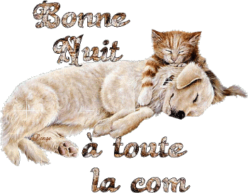 Ce chien clair crème blanc ce chat blanc crème chatain plus foncé, superbes ts les deux, dormant , dans leurs rêves, ns souhaitent BONNE NUIT  A  TS   TTES;  ça brille  ;   joli  ;  tout  ça  pr  fair