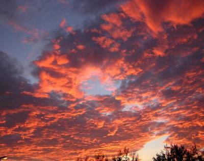 Ciel bleu noir foncé,avc couleurs orangés noirs,bleus clairs jaunes, ciel magnifique:et la cime de quelques arbres; alors quoi penser de ctte image, à quoi ça vs fait penser,  je pense ctte couleur or