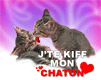 AmourTendresse même pr les petits chatons: ils s'embrassent; se 