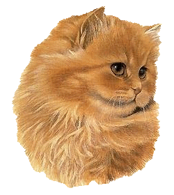 Chat adorable replié sur lui-meme pensif, clignotant yeux oreilles; très beau pelage chatain clair brun un peu foncé;image superbe;  et vous aimez-vous les chats ?  Moi oui, ps mal j'adore les ch
