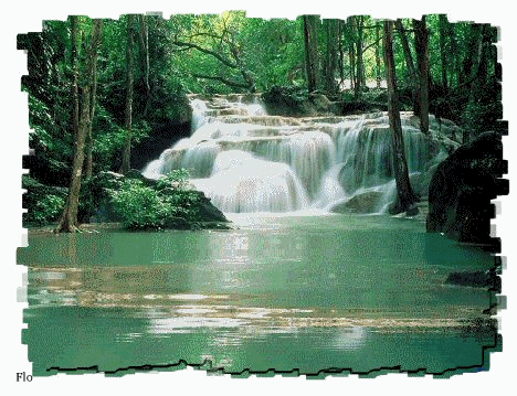 Rivière,belle cascade dans forêt verdoyante;l'eau bouge;beaux reflets;cette image amène Paix Sérénité FRAICHEUR calme la joie un fon de soleil au fond, calme l'esprit et on peut se ballader;