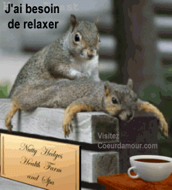 Humour:Petit chat masse sn ptit ami Chat;ça lui fait du bien; meme les animaux ont besoin de se relaxer se masser;Image plutot amusante, sympa! qui fait sourire-Bisous Amitiés ts ttes- Marie-Andrée MT