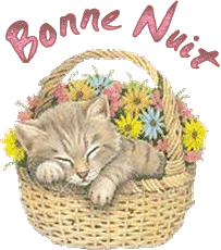 Cmme vs le transmet ce Petit CHAT qui dort ; il est dns ses songes, il vient ns souhaiter BONNE NUIT;  dans son panier osier, et plein de fleurs ; coloré Brillant ; joli,  qui amène joie au coeur, gai