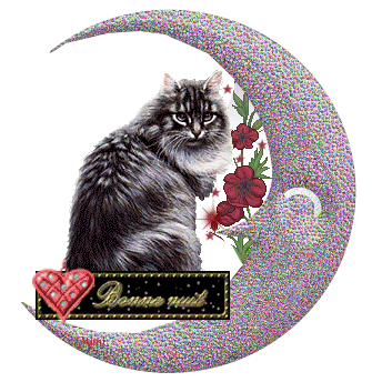 C'es ps encore l'heure de dormir,peut etre pr certain;mais ce chat beau, vien ns souhaiter BONNE NUIT Beau coeur Rouge, dans Lune Brillante de tte couleurs Etoiles,et Fleurs ; image superbe;