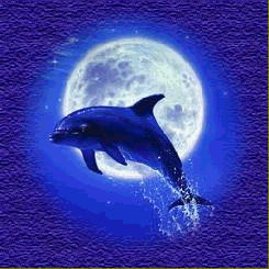 Superbe dauphin:dans la mer ou océan; avec fond:la terre belle;beau fond bleu; j'aime les dauphins; et d'ailleurs, c'est de ntre devoir de soutenir la sauvegarde pr protection des anima