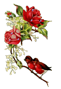 Jolie  branche de verdure et ses roses blanches roses brillantes / Etoiles scintillent; et les 2 petits oiseaux qui remuent gaiement / Jolie image pleine de couleurs de verdure, d'espoir de Lumiè