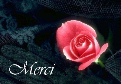 Bonjour tout le monde, Souhaitant que vs passez Un Bon Samedi,   et pr vs  souhaiter bn week end,  je vs envoie ctte  rose admirable  belle couleur rose, épanouie, dans fond de verdure foncé, avc Un M