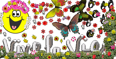 Image pleine de couleurs verdure; beaux papillons colorées, fleurs et  tête d'unptit bonhomme sympa marrant; grand sourire;  sur fond de verdure fleurie est ECRIT :  VIVE LA VIE ! Et oui, malgré 