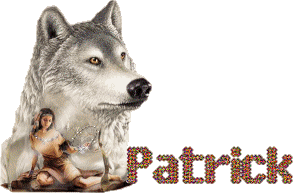 Bonne Fête Pr ts Les PATRICK aujourd'hui,belle image,avc ce beau chien loup et ctte belle fille posée sur l'oreille du chien;grisblancsnoirsbrunc;ça brille!joli - Mon Pat Chéri si tu regard 