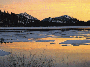 Joli paysage; lac un peu gelé; fond de montagnes enneigées; sapins et CANARDS volent viennent Reviennennt;Joli couleurs jaune blanc    AMITIES A TS TTES   Marie-Andrée  BONNE SOIREE DNS LA DETENTE ET