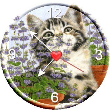 Image un peu originale et sympa: pendule avc fond : beau chat gris noir blanc;clignotant des yeux ;pots de fleurs :colorée; verdure;fond bleu ciel, et les aiguilles qui tournent,;au centre: un BEAU CO