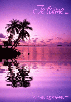 JE T'AIME:Ce coucher de soleil SUPERBE tons mauves roses, le  ciel bleu mauve légèrment clair pr le soleil se reflète dns l'eau, l'eau remuant:joli et romantique ; avc arbre au fond; c&