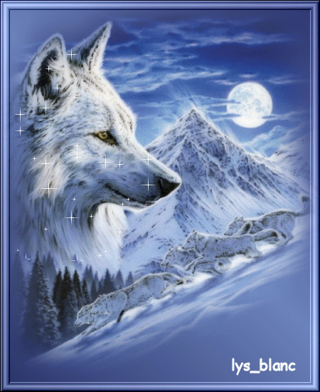 Magnifique Chien loup,veillant sur la montagne enneigée de nuit ;la lune éclairant le ciel et les étoiles brillent;beau regard de ce Chien; belle tette;et un aut chien loup descendan la pente enneigée