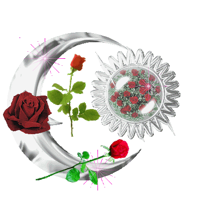 BONJOUR ,  à tous  toutes ;  avc  ces roses  !! étoiles brillent !!!