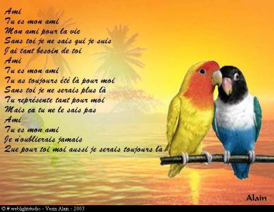 Beau Message Amitié entre deux perruches: sous fond coucher d Soleil!