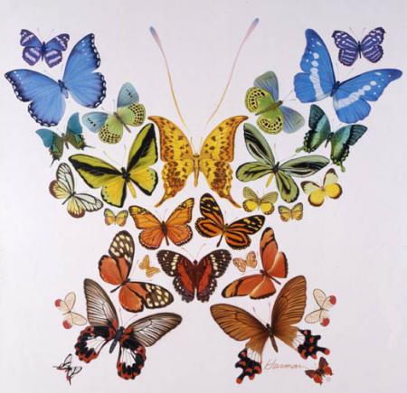 Belle image Colorée:Papillons de ts genres, ttes couleursJoli et Gai!!