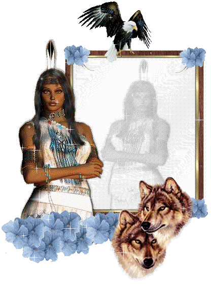 Belle Indienne ; fleurs brillent étoiles ! Superbes chiens loups !!