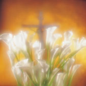 belle image de jésus sur la Croix, et des Fleurs pour amener La Lumière dns les Coeurs!