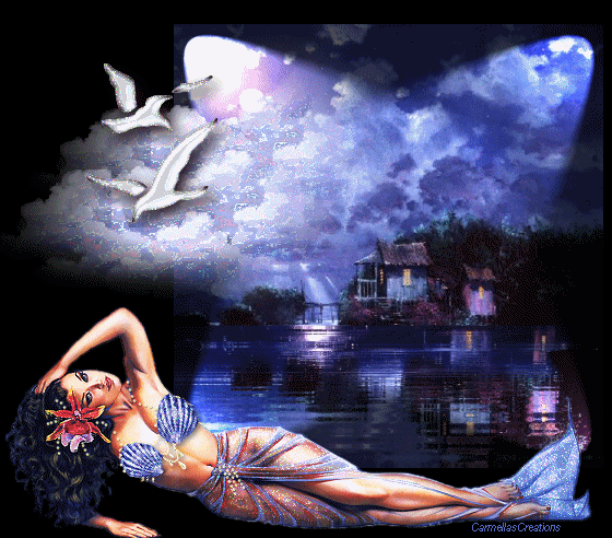 La nuit ciel grisblancbleu belles mouettes:l'eau bouge belle femme éclairée par lueur de la Nuit Etoiles Lune