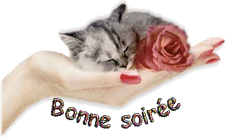 BONNE SOIREE ts ttes,comme vs le souhaite ce pti chat