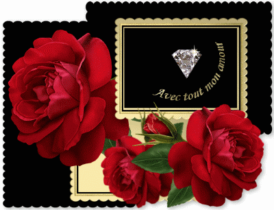 Belles roses rouges offertes à celui/celle qu'on Aime!