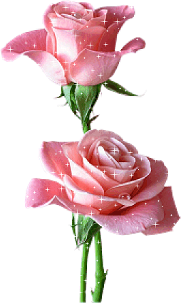 2 superbes roses  rose brillantes ; pr vs Souhaiter Bienvenue dns mn Univers !