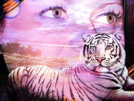 Belle femme:on la voit en transparence sous f coucher soleil ;un tigre de Russie veille!!