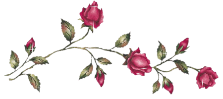 Roses  couleur mauve rose brillent, vous souhaitent la Bienvenue!!