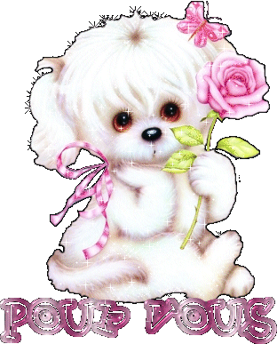 Chien mimi,belles fleurs roses, Vs les offre: POUR  VOUS 