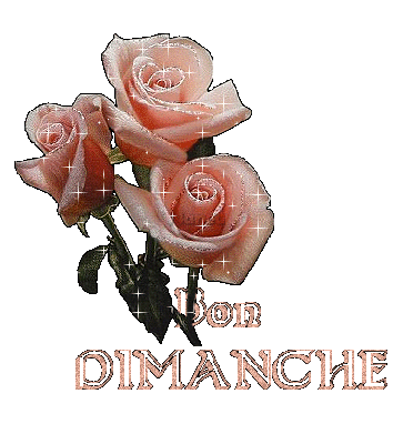 BON DIMANCHE je viens vs le souhaiter, moi aussi avc la pensée  avc des roses superbes cmme je vs présente là: roses  rose blanc étoiles brillent : BON DIMANCHE: image poétique amour détente joie amit
