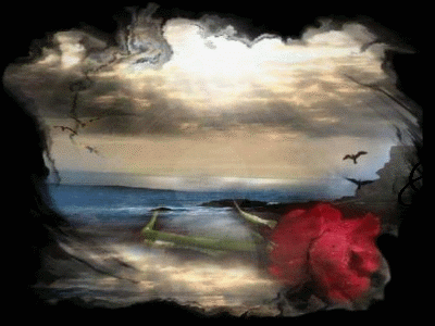 Romantisme : sr fond de mer ciel nuageux:belle rose et belle phrase déc amour Je t AIME 