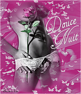 femme ns montre féminité:belle et une jolie rose:pr ns souhaiter DOUCE NUIT