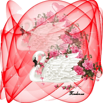 Beau cygne entourée blles fleurs roses,tissu voile transparent étoilesJOLI