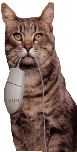 Humour:un chat beau la souris de son Ordi:appel à ns pr qu'on ne l'oublie pasAmusant!!