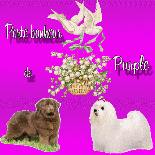 1erMai:BONNE JOURNEE muguet : Vtre Porte Bonheur cmme vs le présent ces beau chiens