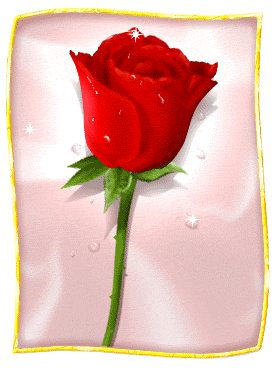 BONNE FIN DE FETE DES MAMANS EN CETTE SOIREE DE DIMANCHEbelle rose!