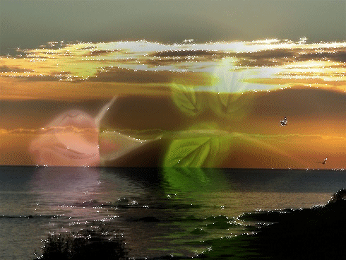 La mer:vagues remuent léger!coucher de soleil fond transparent :on imagine a quoi?rêve apaise!!