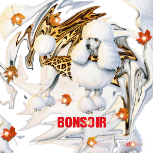 BONSOIR TS TTES comme vs le souhaite ce chien blanc adorable,fleurs  gai ce BONSOIR!!