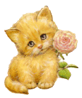 mignon petit chat crème clair:vs fait clin d'oeil amitié,vs offre cette belle roseamusant tendresse et mimi!!beauté dns la Simplicité !!