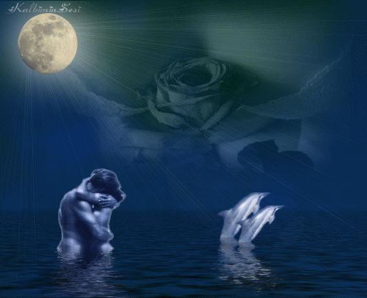 Couple s'aimela nuit dns l'eaudauphins une rose étoiles l'éclairela lune poétique Charme AmourSensualité Désir!!