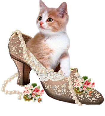 Original, beau chat dans bell chaussure femme brille de soir&eacute;e� lui aussi, le chat mimi veut sortir!!! et aime les belles choses !!!