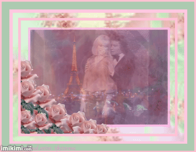michel sardou,élégant que l'on voit avec la bel Mireille Darc Actrice,en vue de fond:PARIS Tour EIFFEL LA NUIT,de bel roses brillent devant!élégance amour sensualité chanson intimité entr ts deux