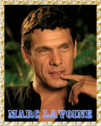 Marc Lavoine: chanteur j'aime bien:sa voix,son style, ses chansons,il est charmant en plus