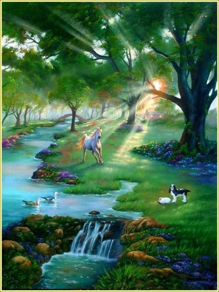 beau paysage:verdure eau animaux;beau cheval, rayons de soleilimage qui donne bien à Rêver se ressourcer  se ballader repos !!