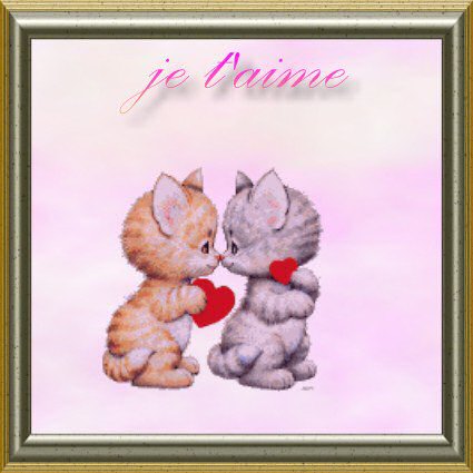 BONJOUR  image de tendresse douceur Un couple chat s'Aime,se donne Des CoeursMIMI   Je T'aime ; moi aussi Mn Coeur Chéri Pat je t'aime 