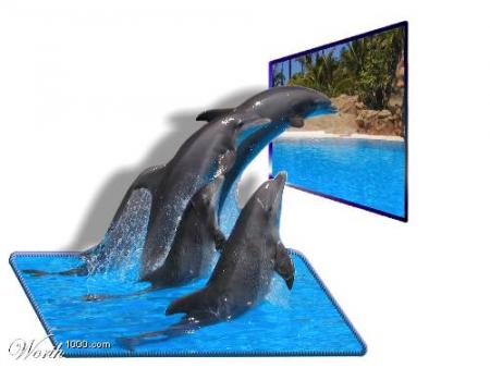 Beaux dauphins mer Plage ;  belle photo  image fraicheur; &eacute;vasion; se baigner, boir un bon verre !!